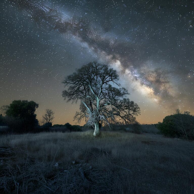 Simple Mindfulness Practices for Daily Life